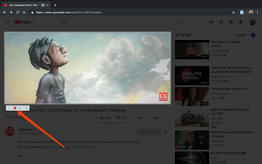 Capture to a Gif screenshot