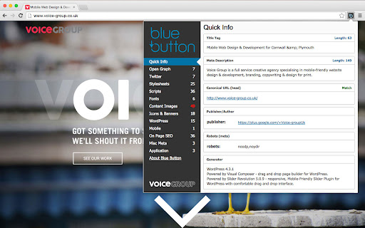 Blue Button | the webpage X-ray screenshot