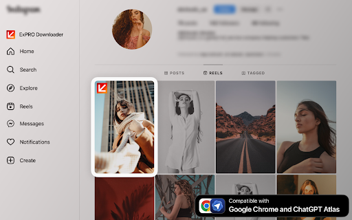 Instagram Downloader for Atlas Browser screenshot