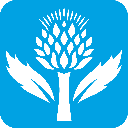 Britannica School Insights icon