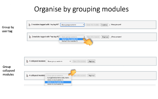 Canvas Modules Organiser screenshot