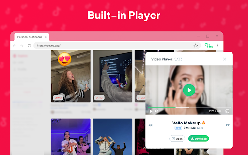 Video Downloader VeeVee screenshot