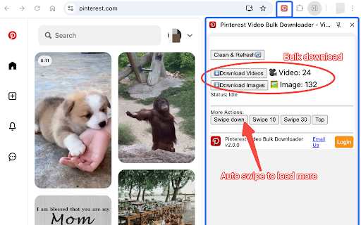 Pinterest Video Bulk Downloader - HD Video and Images screenshot