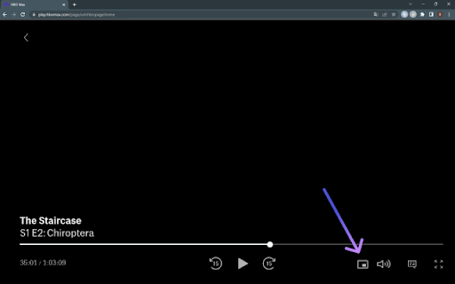 Netflix Picture in Picture now for Prime & D+ [QVI] screenshot