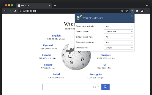 DNS Lookup screenshot