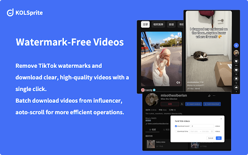 TikTok Downloader, Sort & Analytics | KOLSprite screenshot