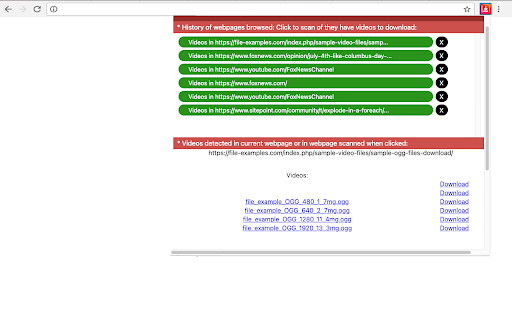 Video Downloader Professional Premium screenshot