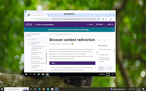 Browser Redirection Extension screenshot