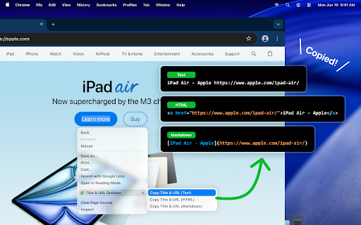 Title & URL Grabber screenshot