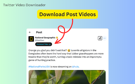 Twitter Video Downloader screenshot