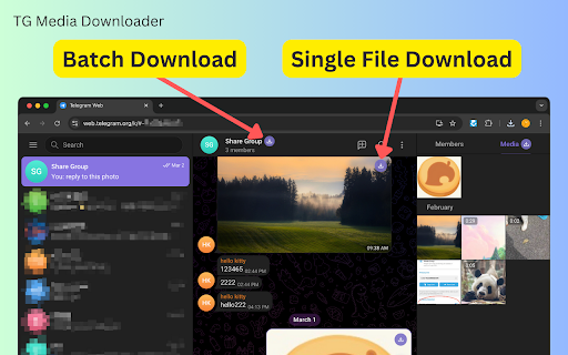 TG Media Downloader - Telegram Downloader screenshot