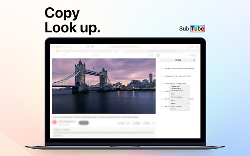 Subtube - Dual Subtitles for YouTube screenshot