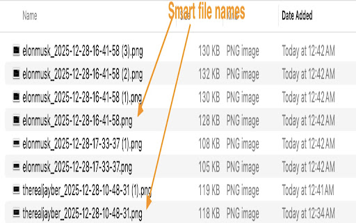 Twitter Screenshot – Capture Tweets from X screenshot