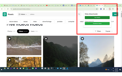 Bulk Video Downloader screenshot