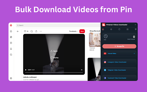 Pinterest Videos Downloader screenshot