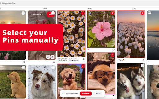 PinBoardSaver - Pinterest Board Downloader screenshot