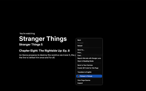Netflix PiP screenshot