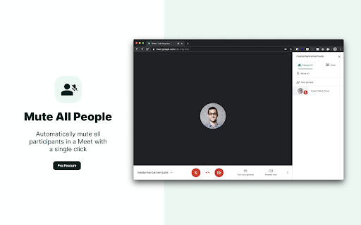 Google Meet Enhancement Suite screenshot