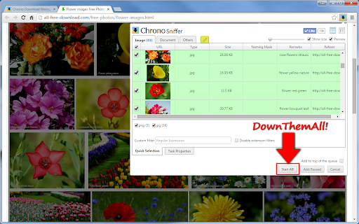 Chrono Download Manager screenshot