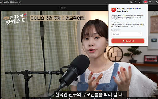 YouTube™ Subtitle to text downloader screenshot