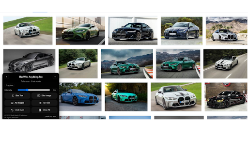 Slash Mark - BlurWeb Anything Pro screenshot