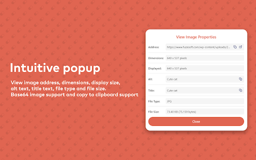 View Image Properties screenshot