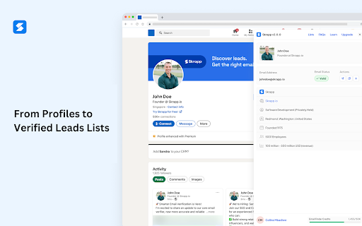 Email Finder by Skrapp.io screenshot