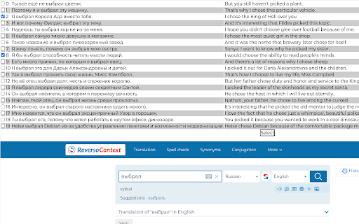 Reverso Extractor screenshot