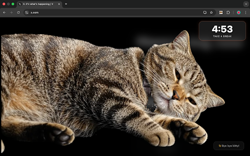 FocusCat - Stop Doomscrolling screenshot
