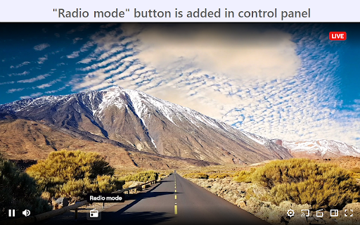 Twitch Radio Mode screenshot