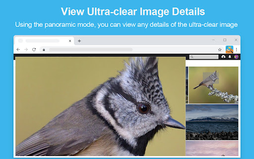 Photo Zoom screenshot