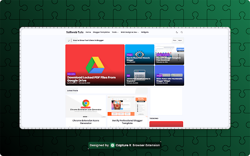 Capture It - Screenshot Capture & Design screenshot
