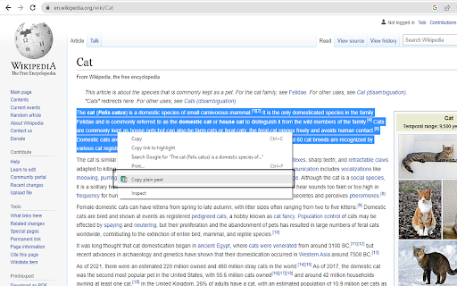 Allow Copy Plain Text screenshot