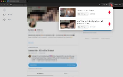 Downloader for You screenshot