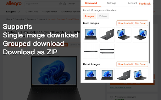 Allegro Image and Video Downloader screenshot
