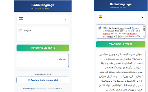 Badinilanguage - Traducteur Web & YouTube screenshot