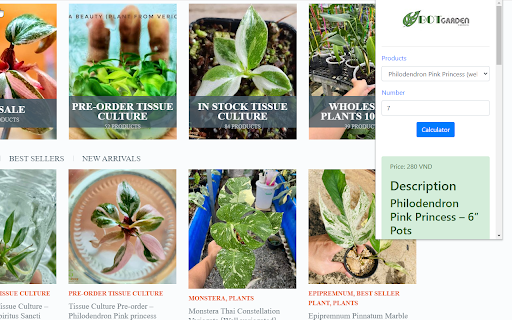 Tissue culture plants for sale screenshot