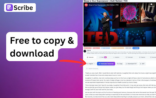 Transcribe & Chat to Videos | Scribe screenshot