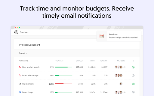 Everhour — Time Tracking, Budgets, Expenses screenshot