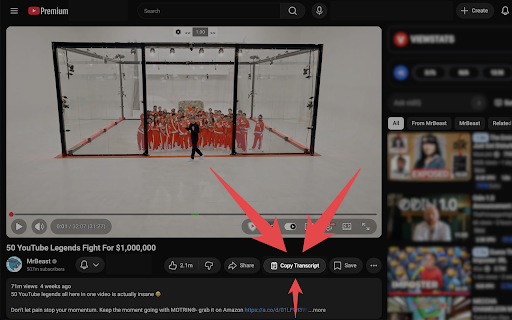 Copy YouTube Transcript screenshot