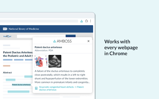 AMBOSS: Medical Knowledge Everywhere screenshot