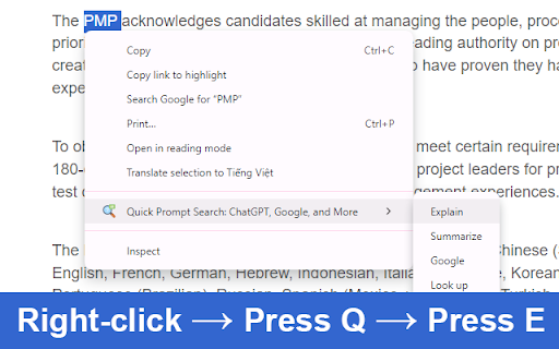 Quick Prompt Search: ChatGPT, Google, and More screenshot