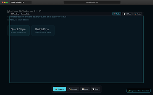 PageSnap - Screenshot & Annotate screenshot