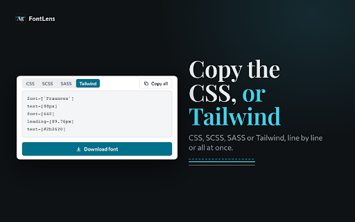 FontLens — Font Inspector to Copy Website CSS screenshot
