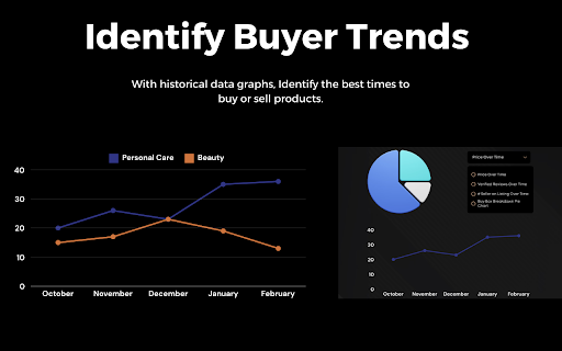 Bizmetrica screenshot