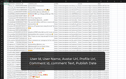 IG Comment Export Tool screenshot