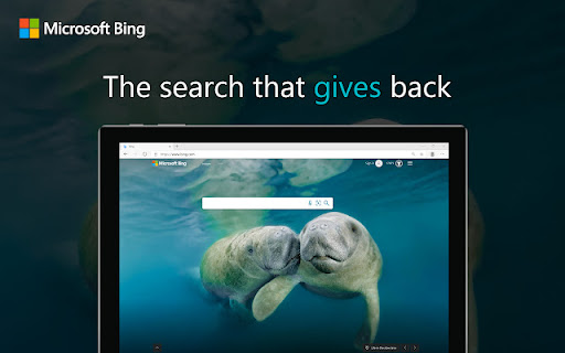 MSN + Bing for Chrome screenshot