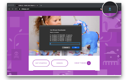 Live Stream Downloader screenshot