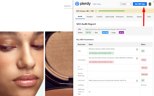 Plerdy SEO Analyzer screenshot