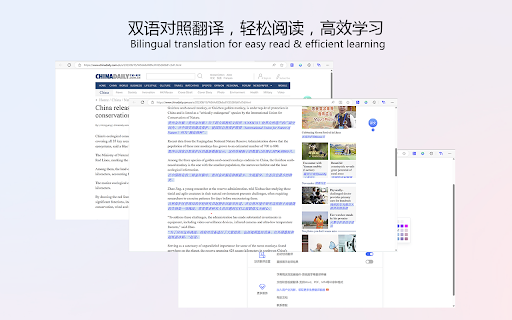 智译网页翻译-自动翻译、双语对照、AI对话 screenshot